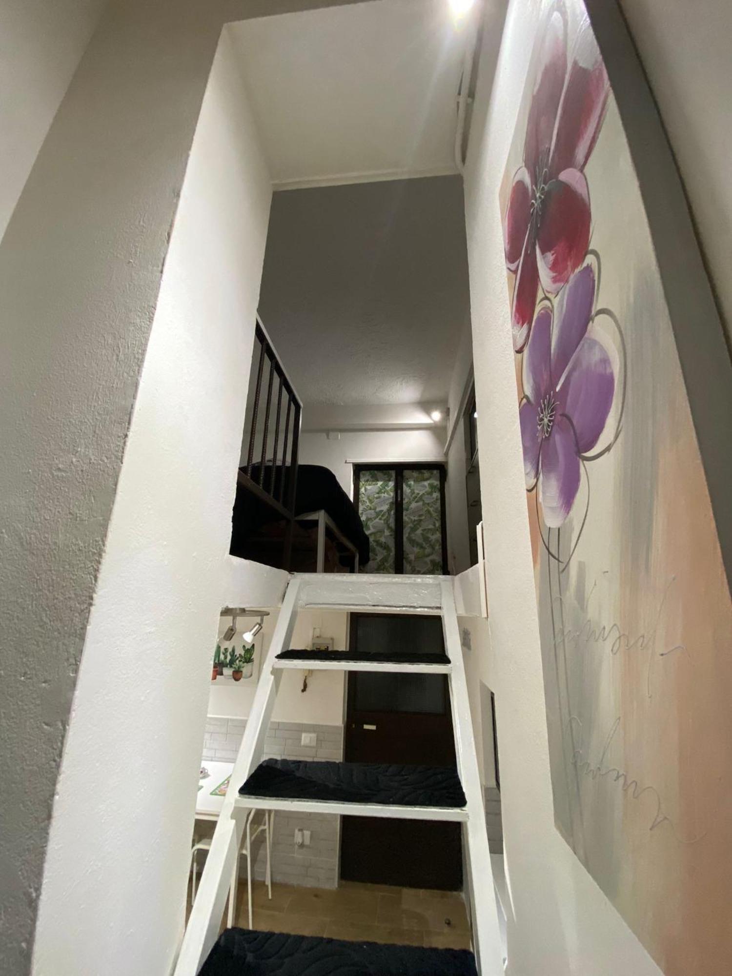 Little House Apartamento